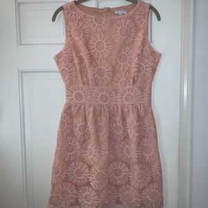 Blush Flower Lace Embossed Dress
